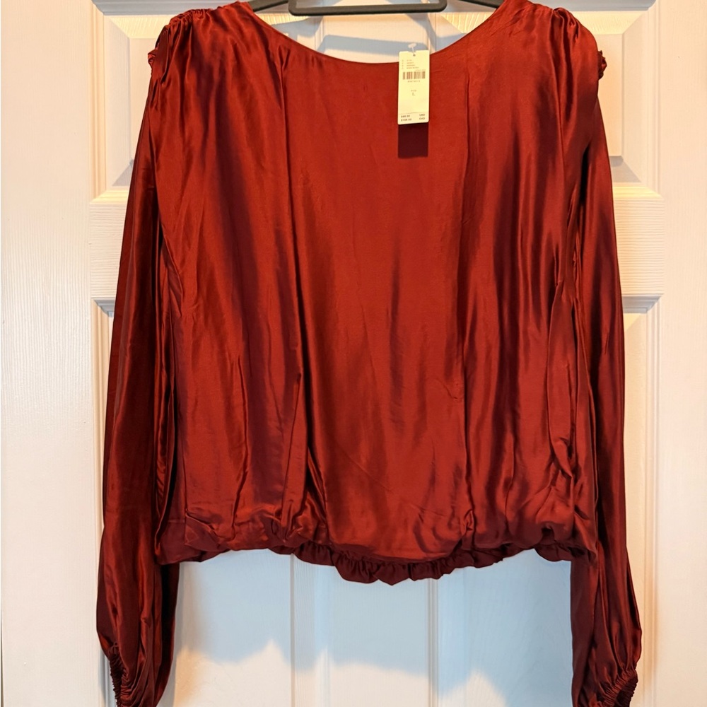 Anthropologie Satin Long-Sleeve Top in Rust Red